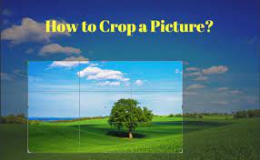 Power point Presentation – Using different ways to crop images